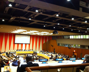 The representative of FPSC in New York participated on the 6th and 7th of  March in the UN’s High-level Event