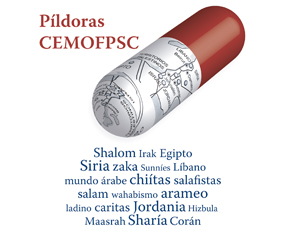 The FPSC’s Middle East Studies Centre launches section: “CEMOFPSC Pills”