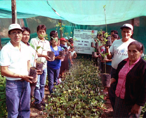 Farmers of Cajamarca (Peru) receive information on the productive process of the avocado cropping