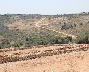 Initiatives for effective access to water in Palestine, especially those used for rural development