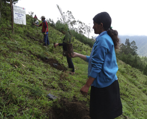 Working for the socioeconomic development of the vulnerable population of Cajamarca (Peru)