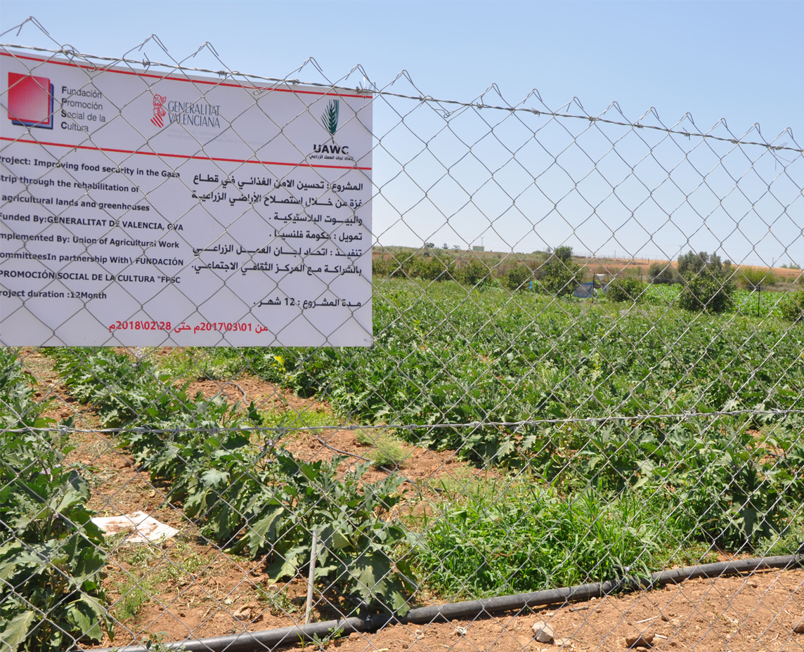 Promoción Social trabaja en Gaza para garantizar el acceso a los recursos agrarios y la soberanía alimentaria de su población