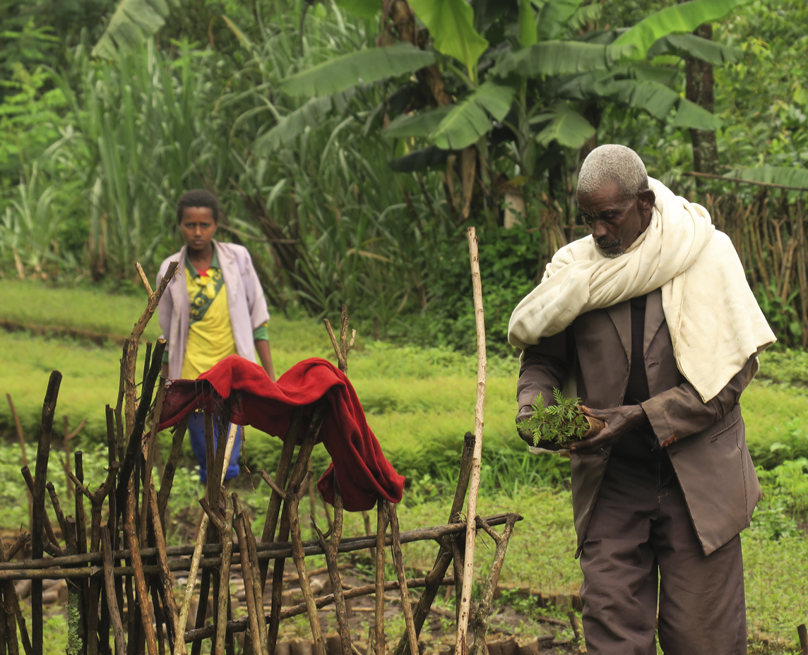 Se mejora cuantitativa y cualitativamente la productividad agrícola en Etiopía