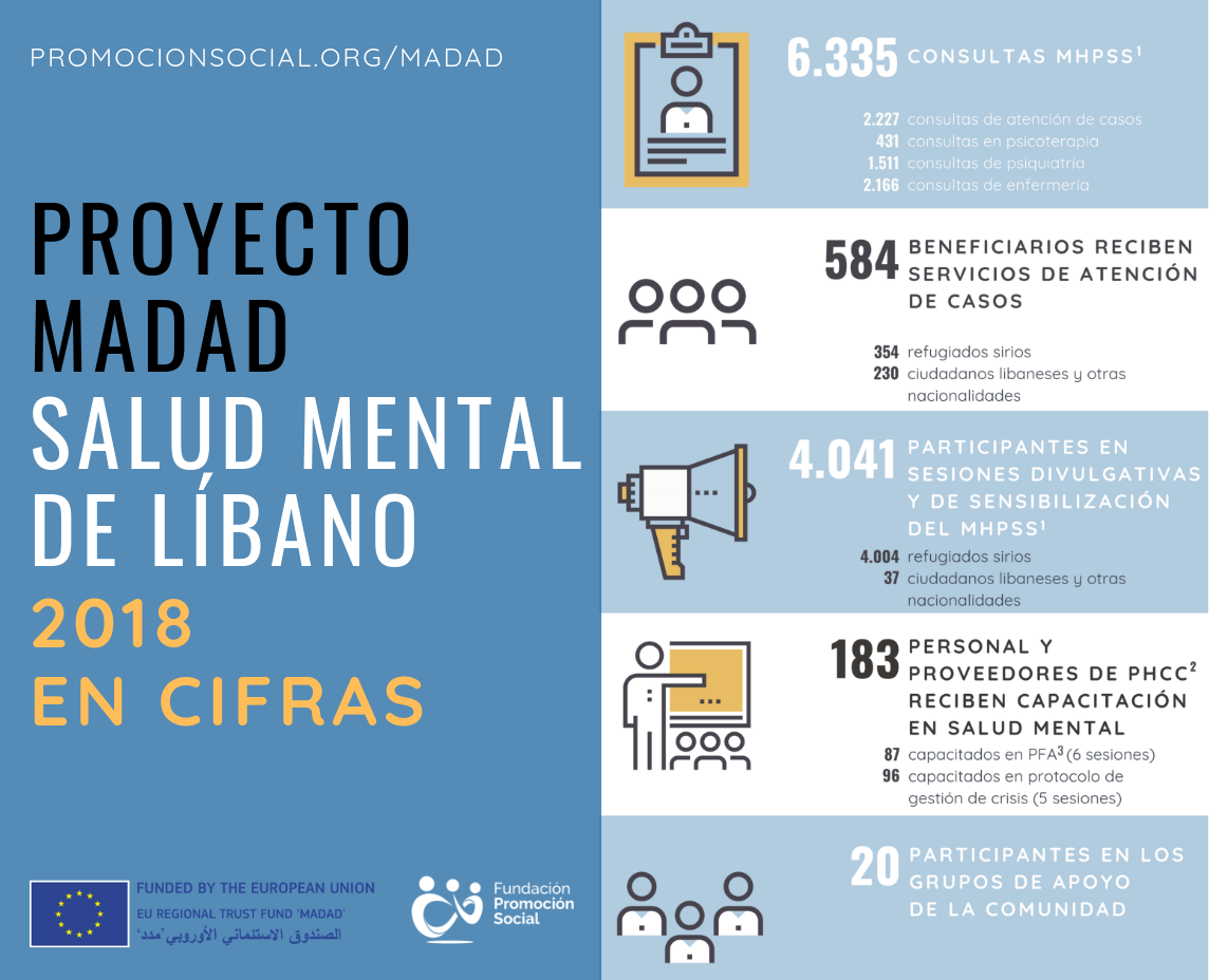 Proyecto MADAD-Salud Mental de Líbano, en cifras