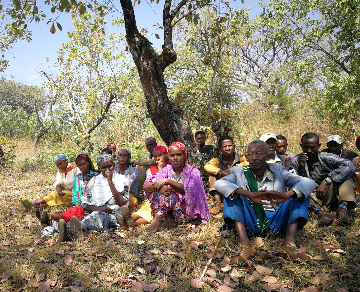 La creación de cooperativas como garantía de un desarrollo agropecuario sostenible en Nekemte (Etiopía)