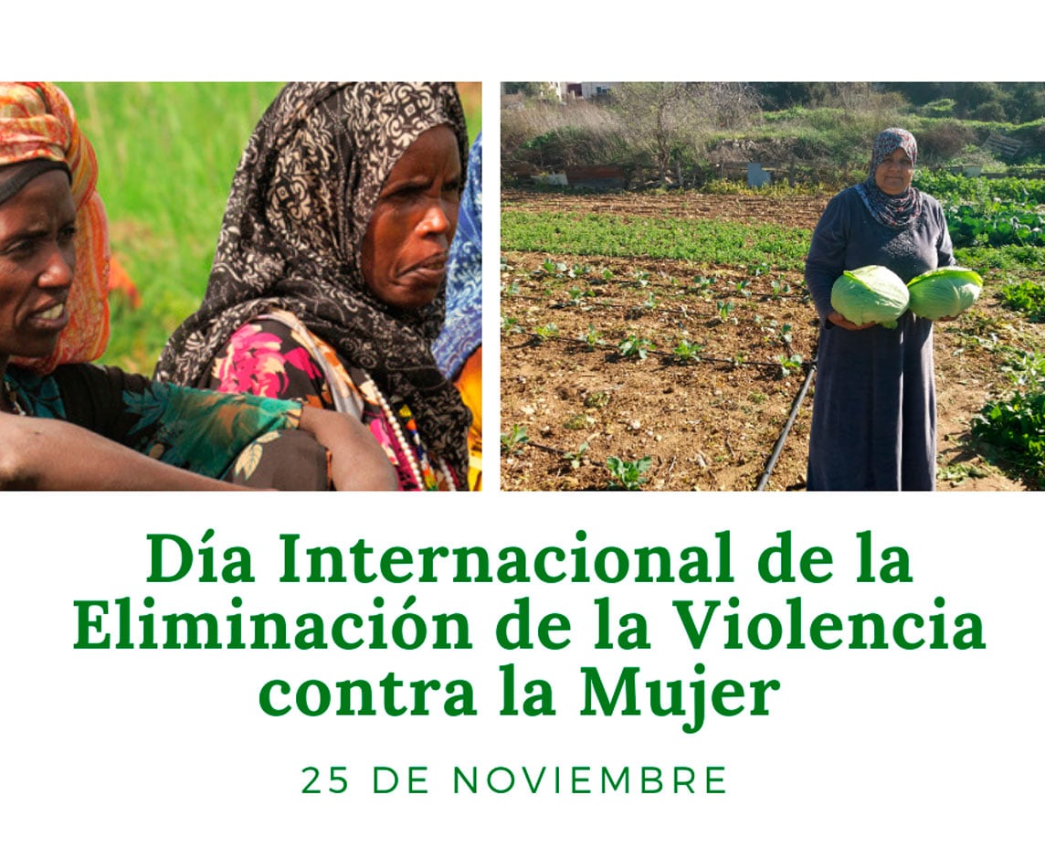 The OMEI Observatory of the Social Promotion Foundation considers inequality of opportunities between women and men as a trigger for violence against women
