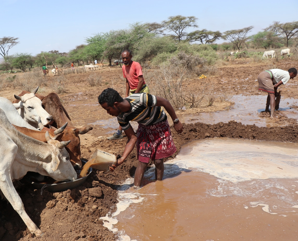 Aumento de la capacidad de acceso al agua y adaptación al cambio climático de la población rural en Palestina y Etiopía