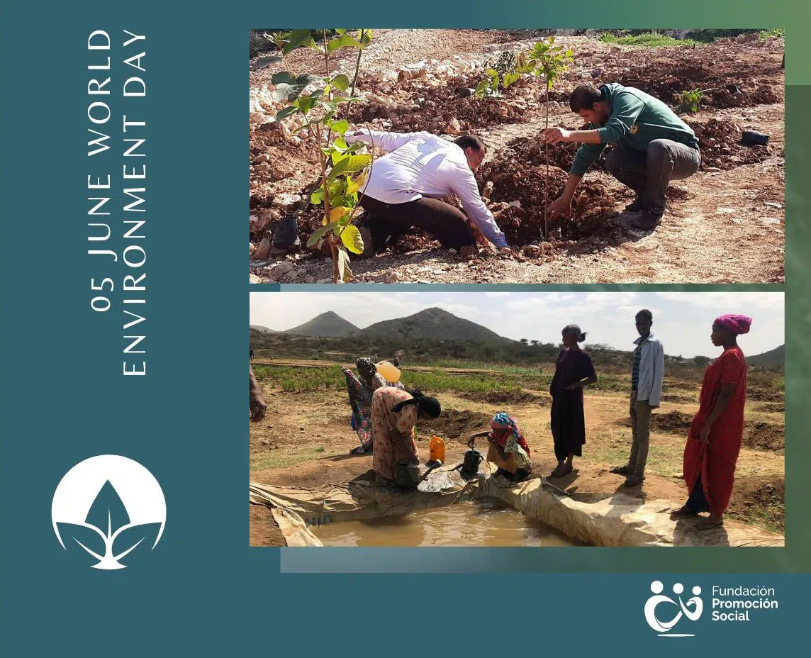 Alleviating the effects of climate change and biodiversity loss in the countries where we work is crucial