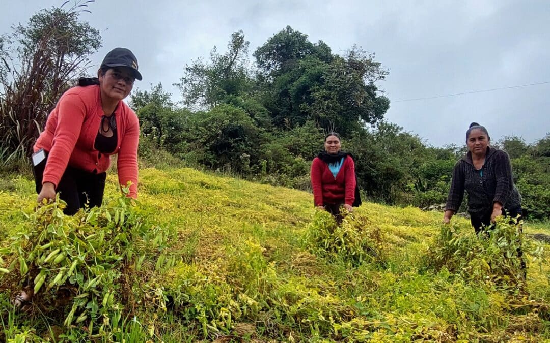 Contribuir a la mejora de la resiliencia y al fortalecimiento de capacidades, promoviendo un desarrollo rural sostenible con equidad de género en las comunidades rurales vulnerables de la Microcuenca Chipuluc (Cutervo, Perú)