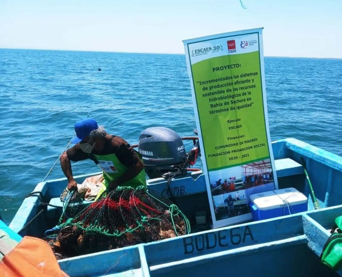 Activities continue in Sechura Bay, Peru, to diversify and improve fish production in a sustainable way