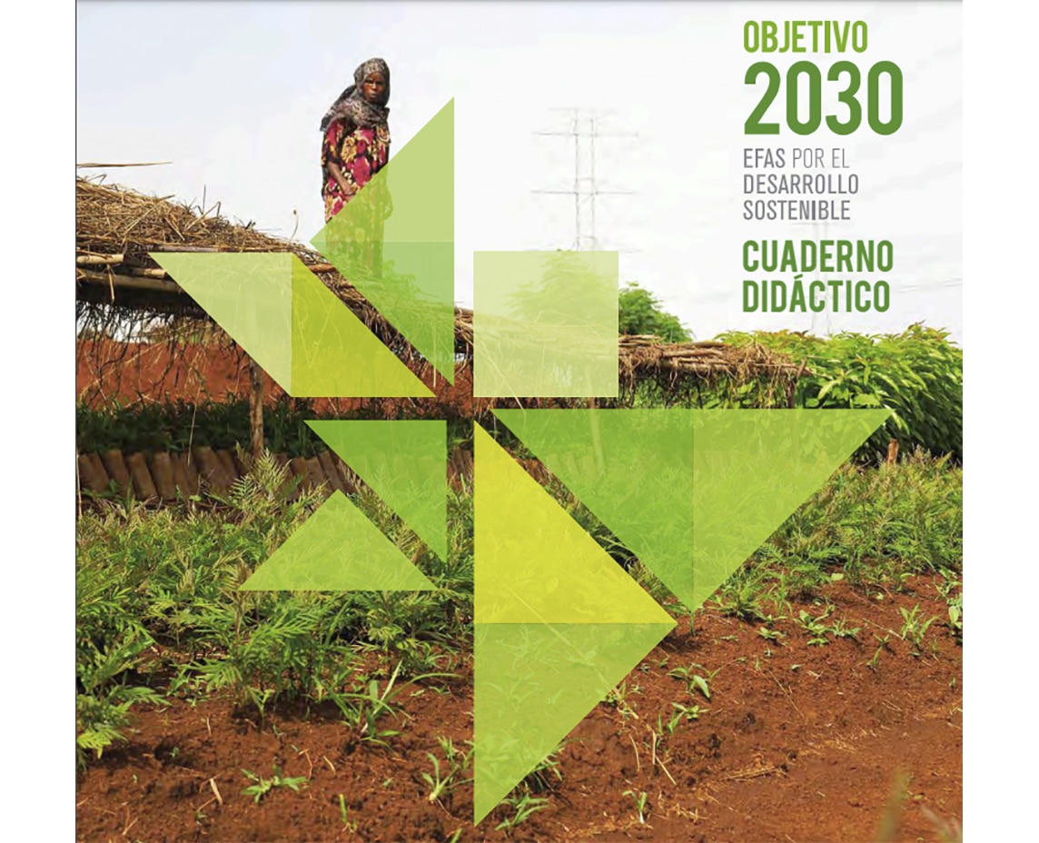 Se distribuyen las Guías “Objetivo 2030: EFAS por el Desarrollo Sostenible” a EFAS ubicadas en 6 comunidades autónomas