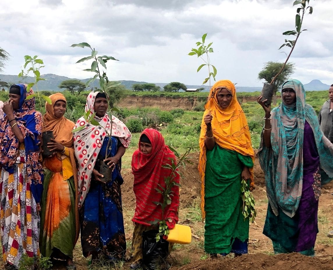 Convenio: Generar resiliencia en el medio rural en Etiopía frente a los desastres naturales y/o causados por el hombre, promoviendo un desarrollo rural sostenible, con igualdad de género y fortaleciendo tejido comunitario en la Región Somalí, de alta vulnerabilidad a la seguridad alimentaria
