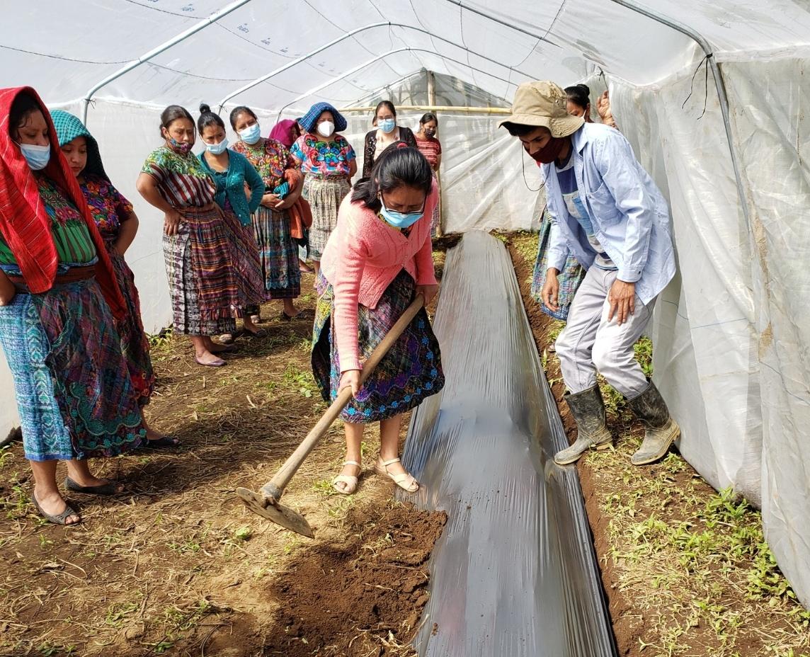 Por el derecho a una alimentación adecuada y sostenible de la población rural de Joya Grande, Guatemala