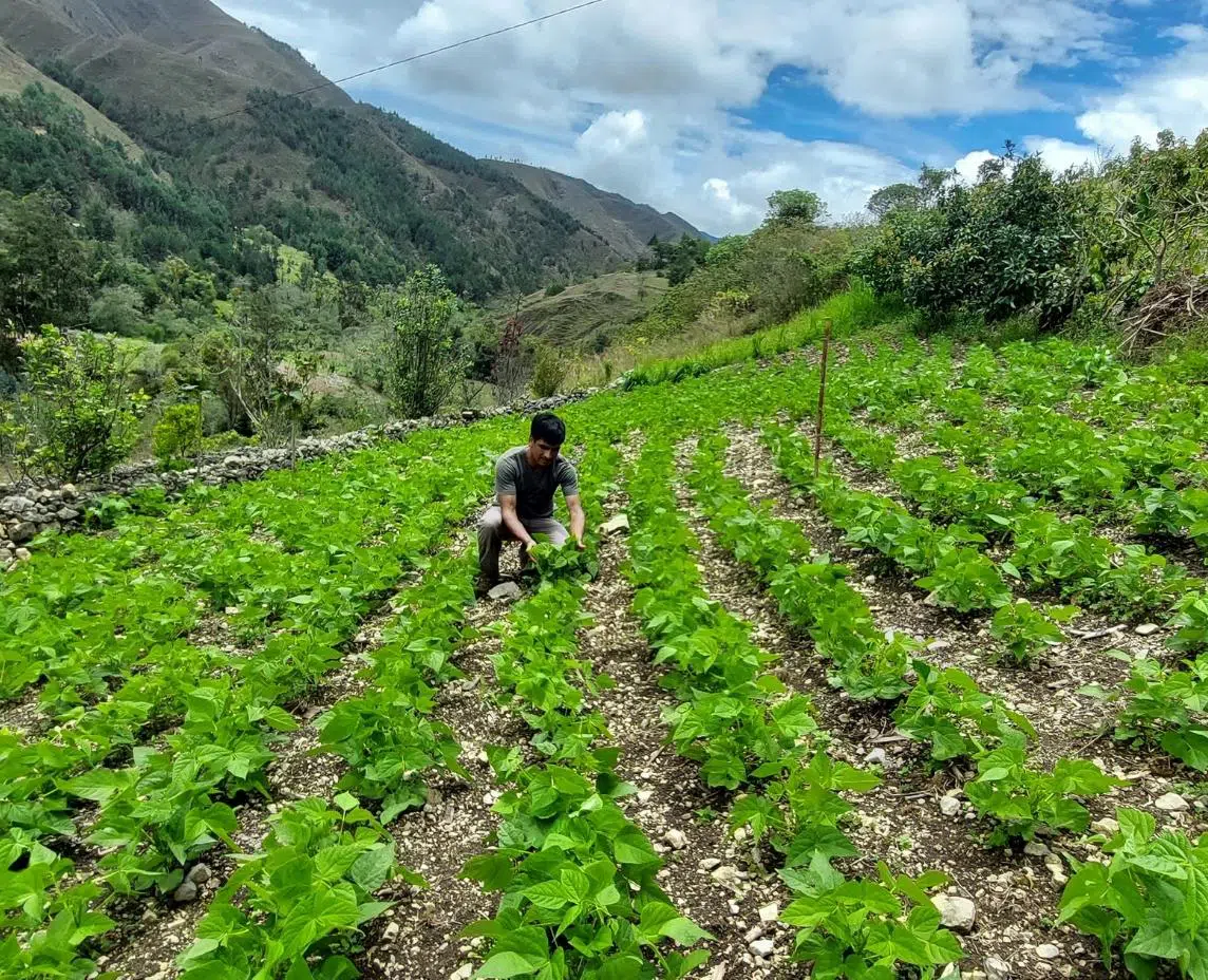 The right to adequate and sustainable food in the Chipuluc Micro-basin is possible