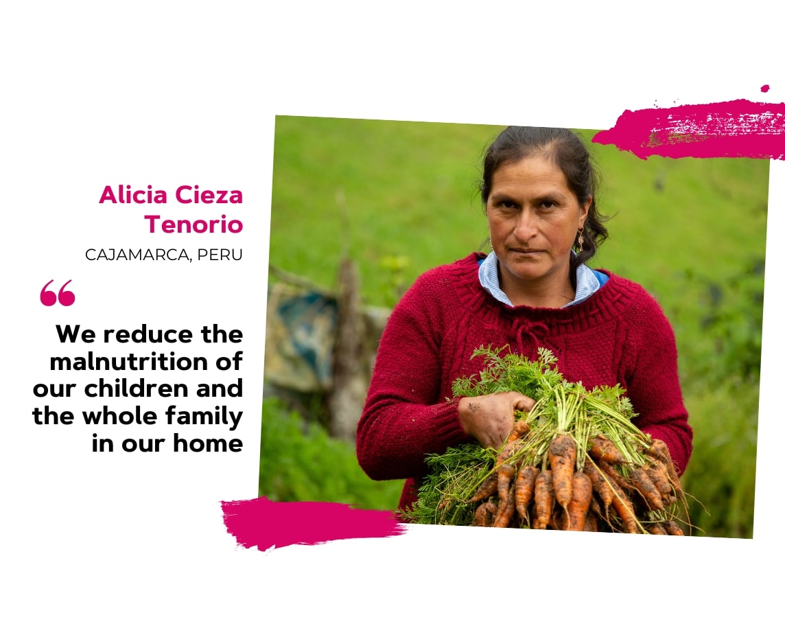 Alicia’s determination to fight malnutrition in Cajamarca, Peru