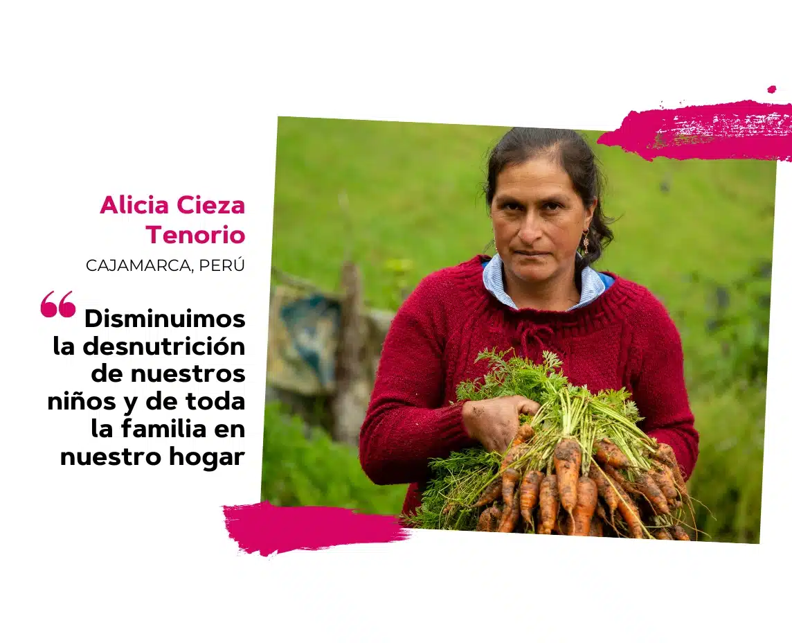 La determinación de Alicia para combatir la desnutrición en Cajamarca, Perú