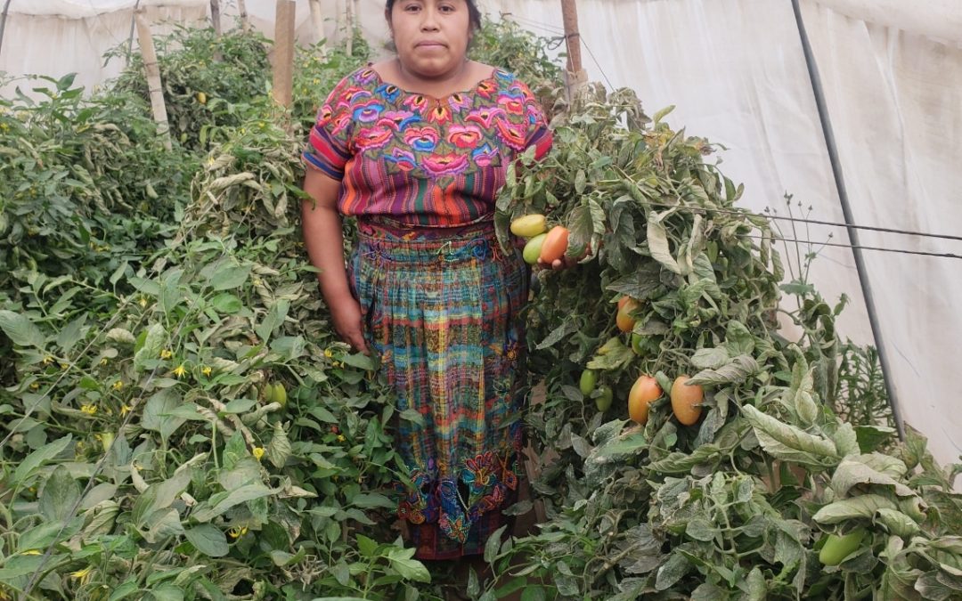 Improvement of food security and comprehensive health in vulnerable households in kaqchikel communities of Vista Bella (Guatemala)