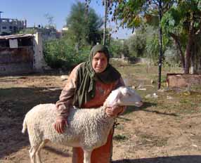 Mejora de la seguridad alimentaria de la mujer rural en Gaza y sus familias a través del acceso a los recursos productivos en el sector agrícola