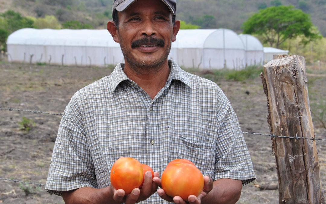Fortalecimiento del «Centro de Entrenamiento Agrícola (CEA)» para la formación profesional de 400 pequeños agricultores en Nicaragua