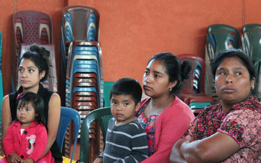The capacities of the Kakchiquel population in Joya Grande, Guatemala have been strengthened to guarantee their access to food and the economic and sustainable promotion of their community