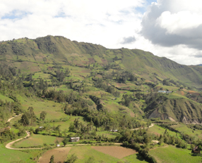 Organized farmers strengthen the social, economic and productive fabric, and their living conditions in the micro watershed Guineamayo (Cajamarca)