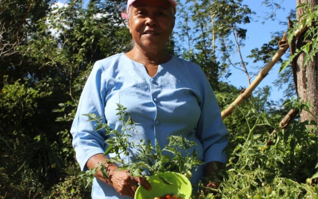 Strengthened resilience to COVID-19 in 7 communities in Diriamba, Nicaragua, through sustainable production systems that guarantee access to nutritious food for the vulnerable population, improving women’s leadership
