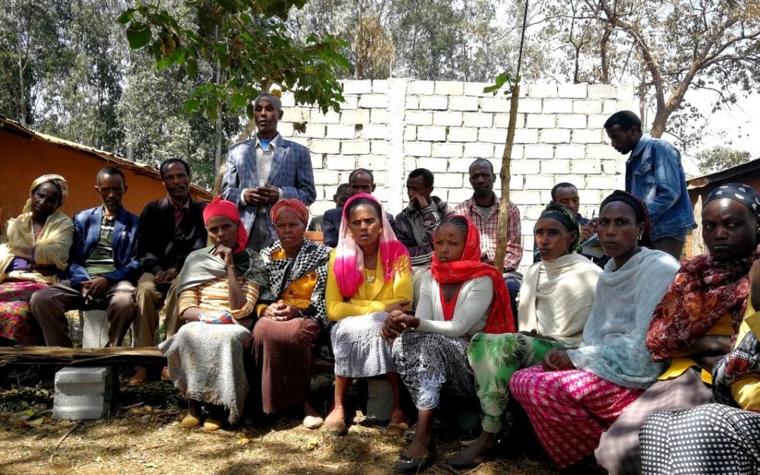 Fortalecida la resiliencia frente al COVID-19 en 2 woredas de Oromía mediante el acceso sostenible y con igualdad de género a derechos y medios de vida