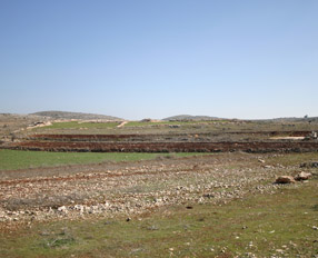 2007-2011 Agreement: Support for improving the productive capacity of the agricultural sector in the South of Lebanon