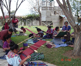 Proyecto para aumentar la capacidad de generación de ingresos de las mujeres rurales indígenas de seis Departamentos de Guatemala (Fases I y II)