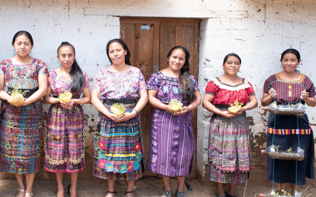 Fortalecimiento de la seguridad alimentaria de población indígena más vulnerable en comunidades rurales de San Bartolomé Jocotenango y San Pedro Jocopilas, Quiché, Guatemala