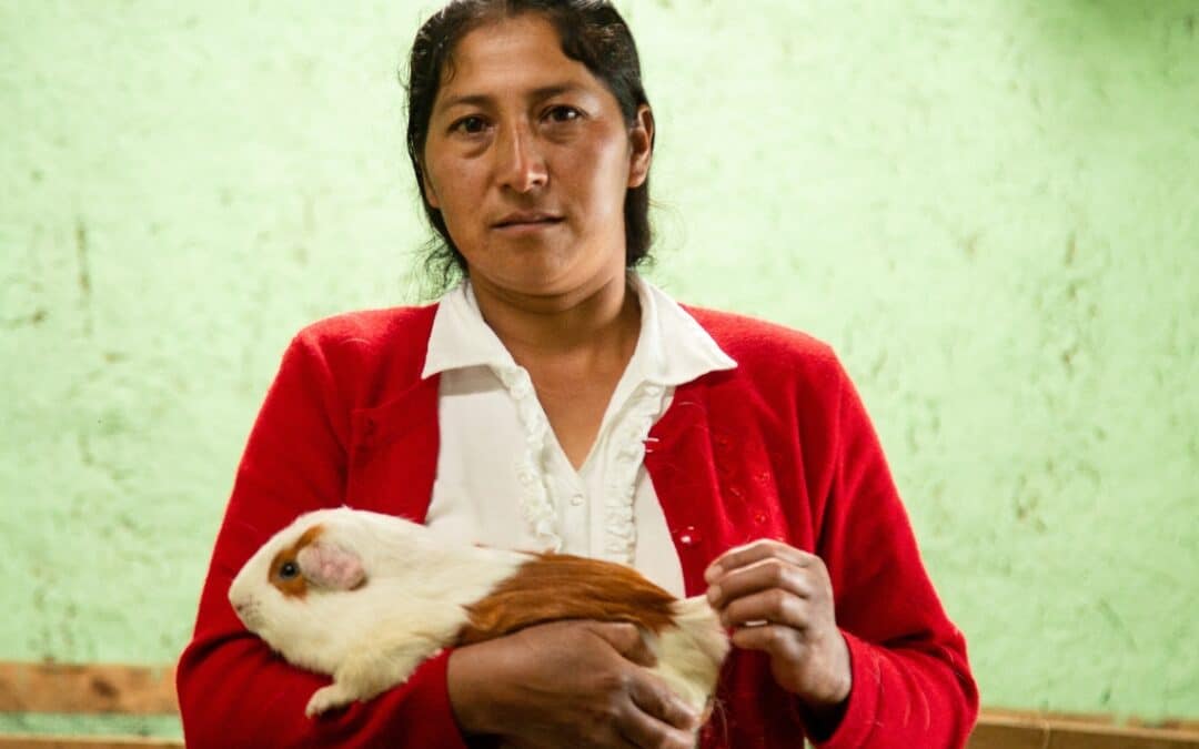 María Isabel Coronado y su criadero de cuyes: un avance de la mujer hacia la igualdad de acceso a los recursos productivos y la generación de ingresos en Perú