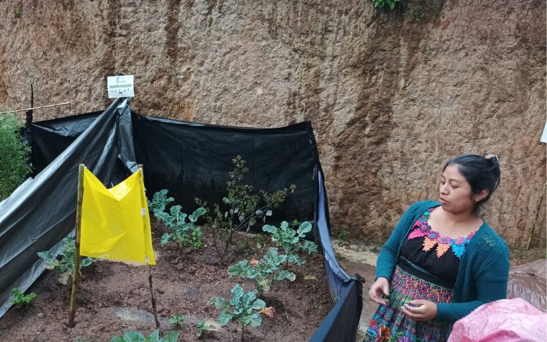 El huerto doméstico de Ángela Karina en Guatemala, una oportunidad para mejorar la salud alimentaria de toda su familia