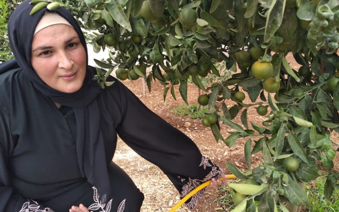 Fortaleciendo la capacidad de resiliencia de las mujeres palestinas en crisis humanitaria crónica en Cisjordania