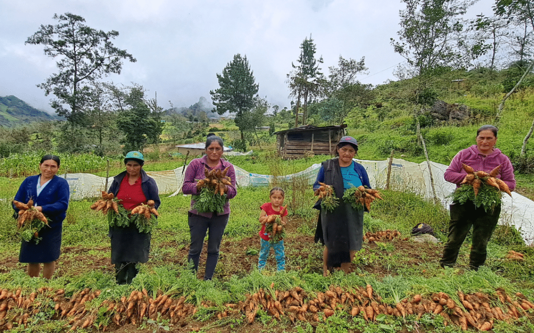 Promoción de un desarrollo rural sostenible en igualdad de oportunidades para productores y productoras de las comunidades rurales vulnerables de la microcuenca Cullanmayo (Cutervo, Cajamarca, Perú)