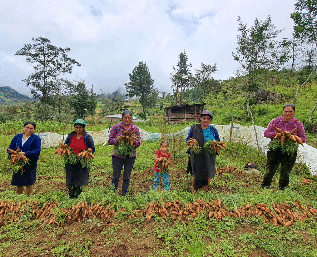 Promoción de un desarrollo rural sostenible en igualdad de oportunidades para productores y productoras de las comunidades rurales vulnerables de la microcuenca Cullanmayo (Cutervo, Cajamarca, Perú)