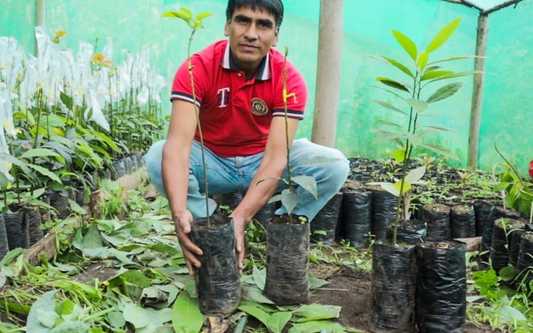 Trabajar por el desarrollo rural sostenible como palanca para garantizar una alimentación saludable en Cutervo, Perú