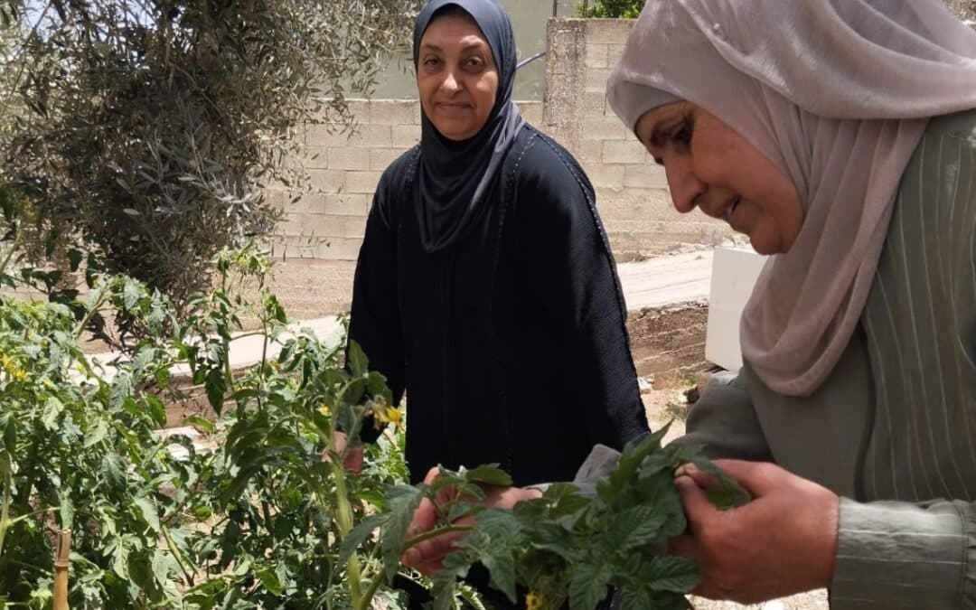 La increíble historia del Club de Mujeres de Burqin (Palestina) y su contribución a la producción local de alimentos