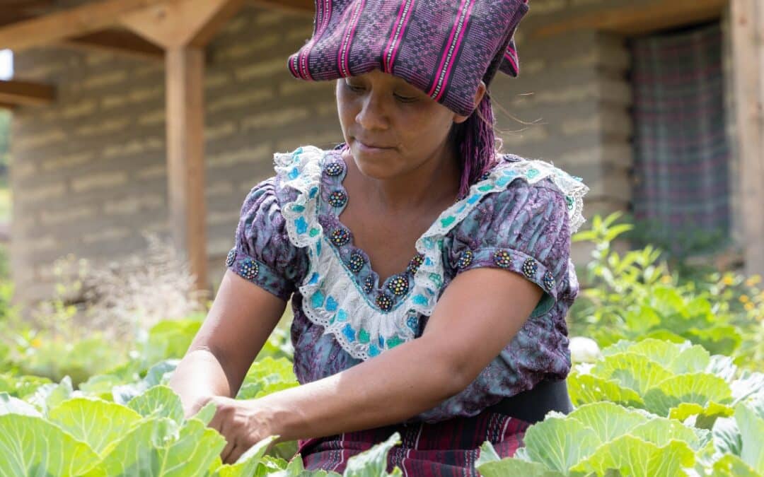 Irma y Magdalena logran cosechar sus propios alimentos y apoyar a su comunidad en Quiché (Guatemala)