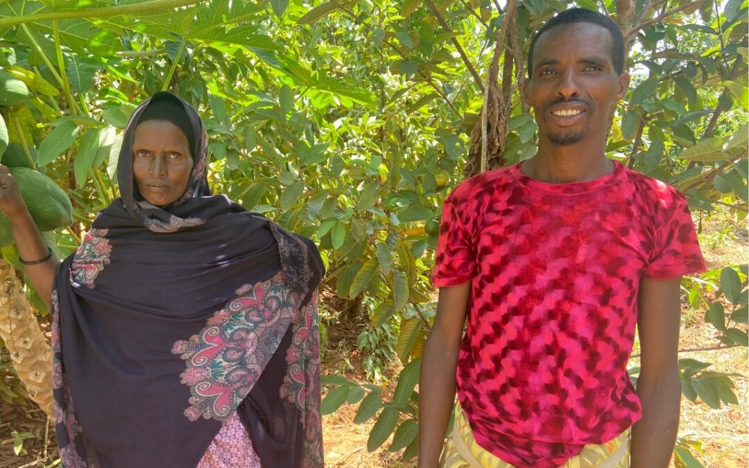Apoyamos a comunidades agropastoras etíopes en su acceso al agua y a una alimentación saludable