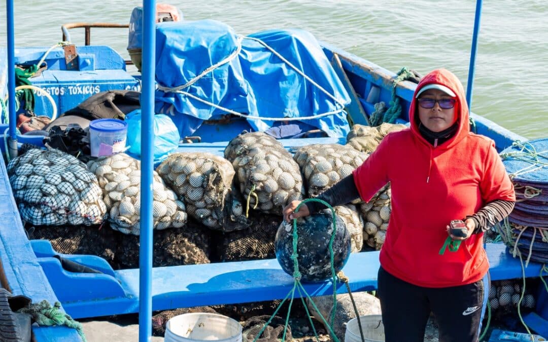 Implantar un nuevo modelo sostenible e inclusivo en Sechura basado en bioeconomía circular marina, diversificación productiva y gobernanza ambiental