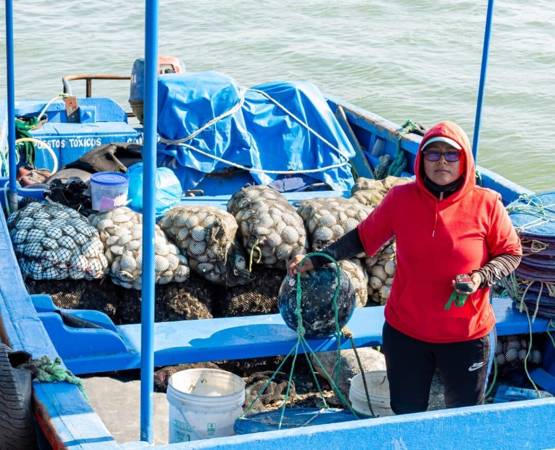 Implantar un nuevo modelo sostenible e inclusivo en Sechura basado en bioeconomía circular marina, diversificación productiva y gobernanza ambiental