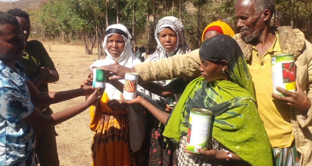 Familias agropastoras de Oromía (Etiopía) comienzan a cosechar su propio futuro