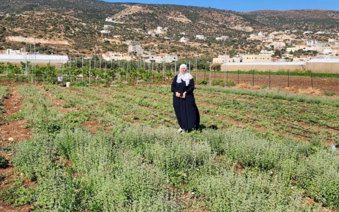 Samar Rabayaa y la oportunidad de administrar sus propios cultivos en Yenín, Palestina