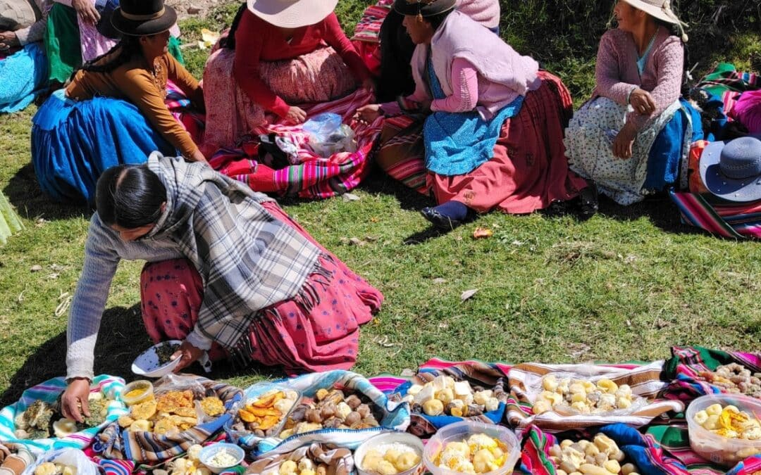 Impulso de la autonomía económica de mujeres aymaras rurales y urbanas mediante redes y patrimonio gastronómico