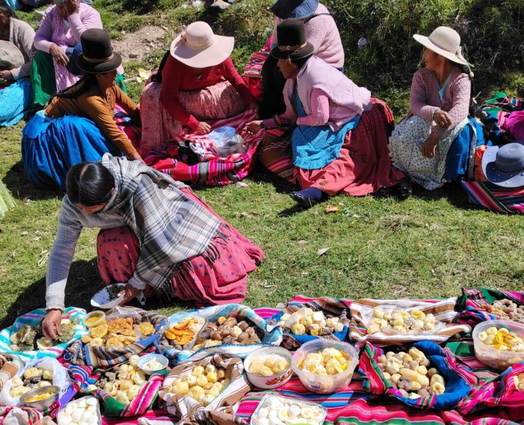 Impulso de la autonomía económica de mujeres aymaras rurales y urbanas mediante redes y patrimonio gastronómico