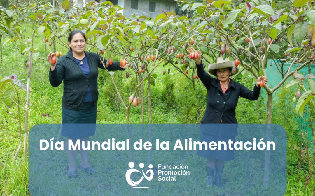 Familias campesinas de Cutervo (Perú) impulsan el cultivo sostenible de papas